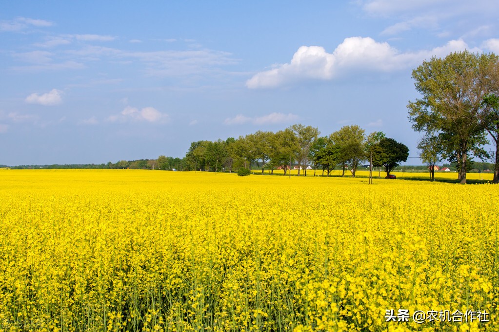 四川农机合作社,四川惠民农机专业合作社