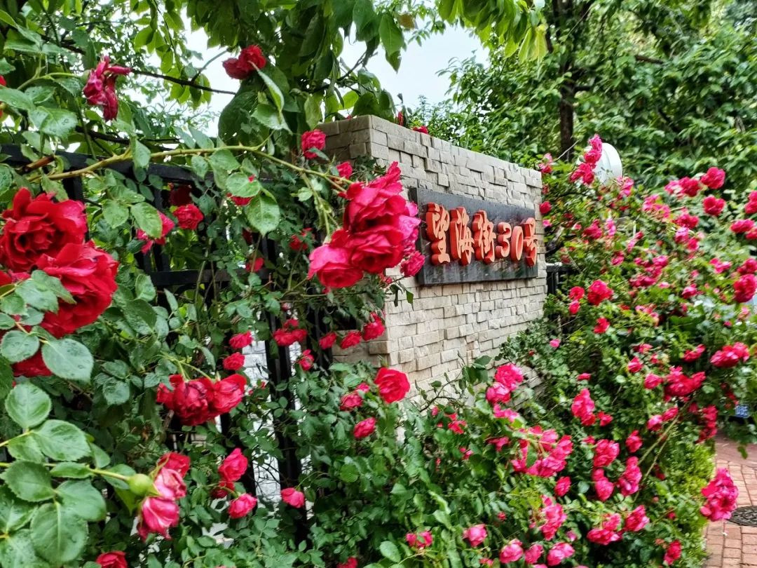 2022春节大连本命年免费景点,大连免费景点排行榜前十名