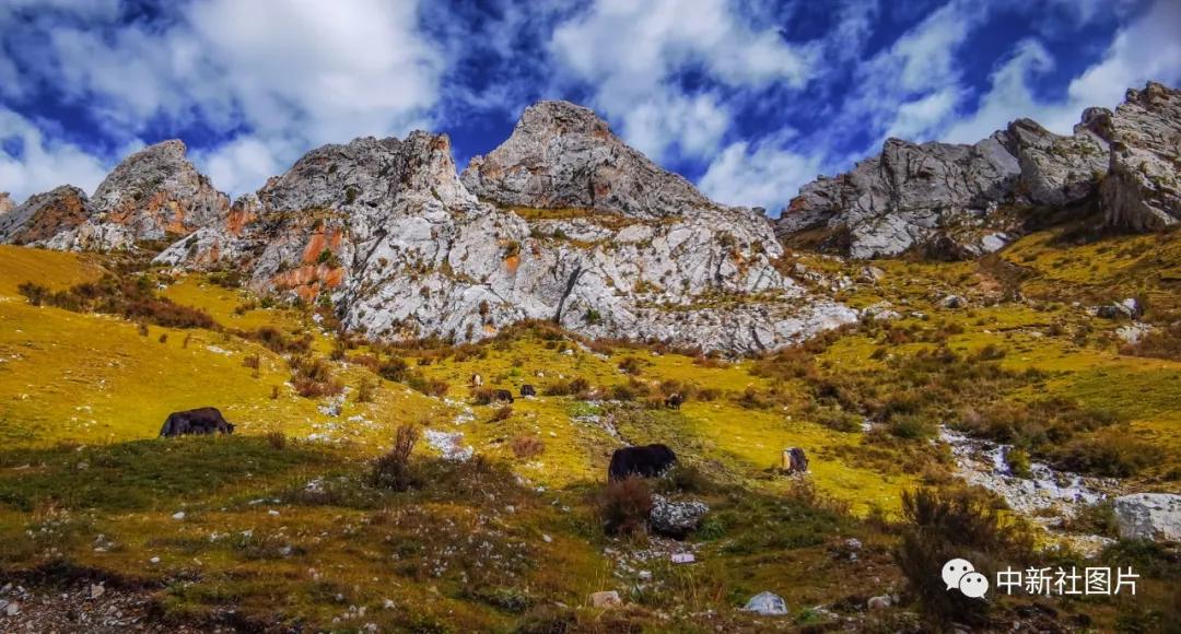 同饮一江水共话澜湄情现代诗,同饮一江水共话澜湄情是什么意思