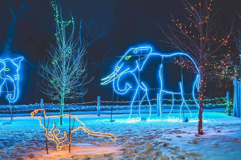 加拿大魁北克冰雪节,加拿大艾伯塔省节