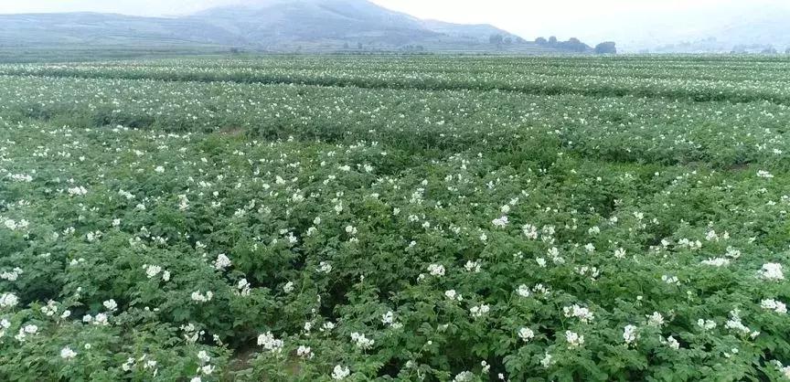 吕梁最穷的县排名,吕梁十三县的经济排名