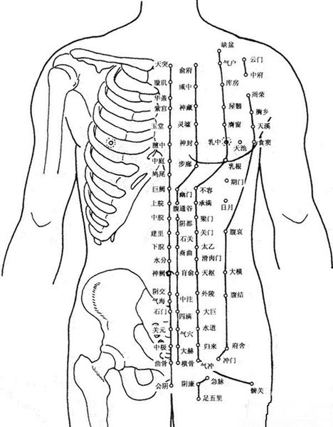 腧穴分为几大类,腧穴的分类和区别