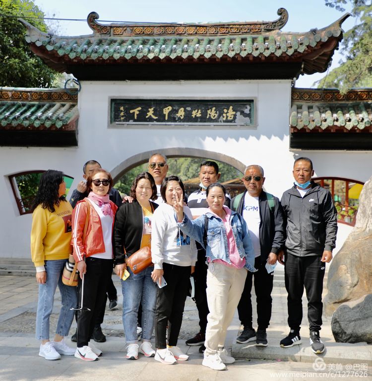 看洛阳牡丹花卉节,洛阳古都牡丹花展