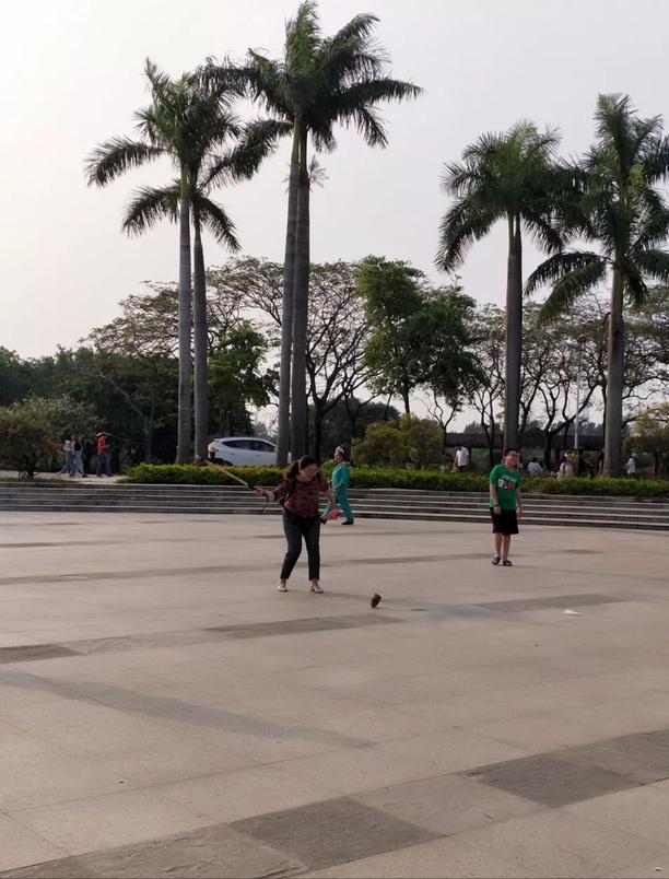 深圳海上田园一日游,深圳宝安海上田园风景