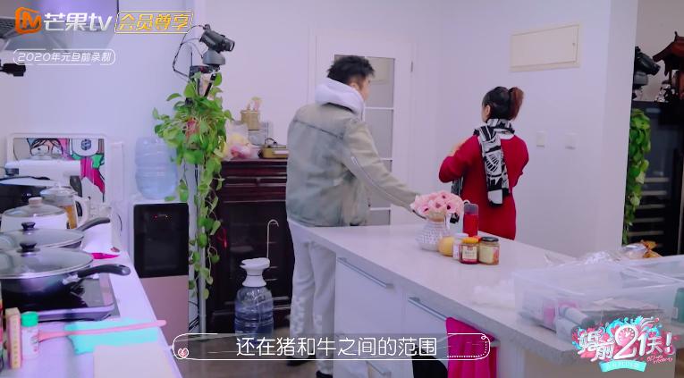 回顾何雯娜的成长经历,现在的何雯娜