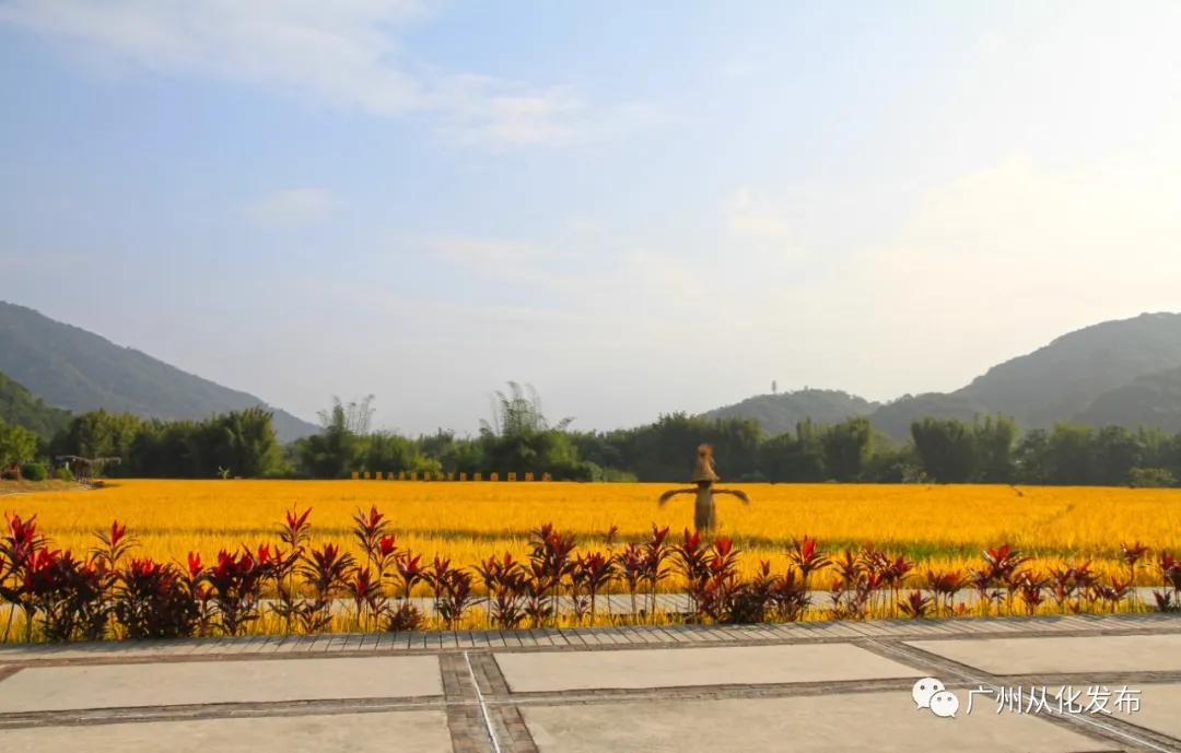 这么美的地方你真的去过吗,这么美的地方简直是人间仙境