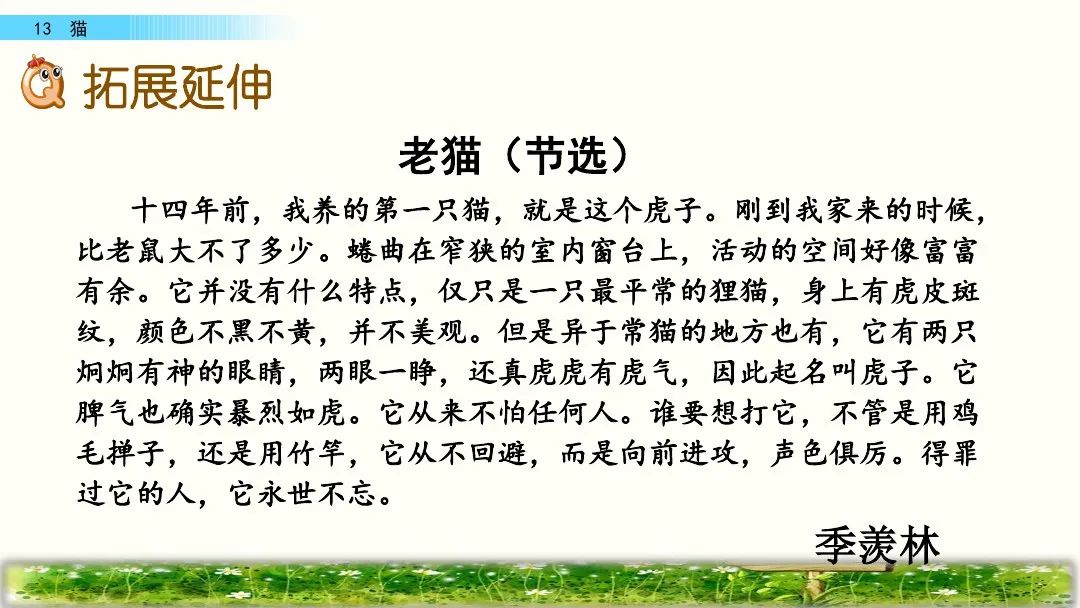 四年级下册语文13课猫课文解析,部编版四年级下册13猫教学视频