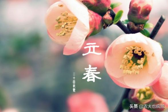 俗语“春打六九头，吃水像喝油”啥意思？明年几九立春？答案来了