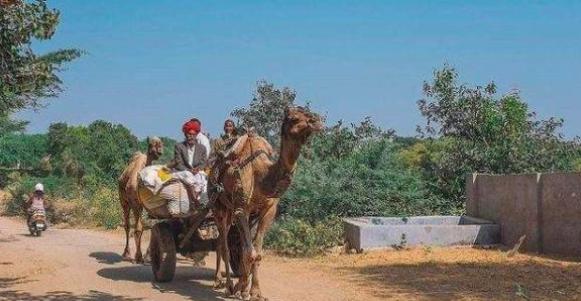 印度的公路里程达到了800万公里 (印度耕地面积为什么比中国多)