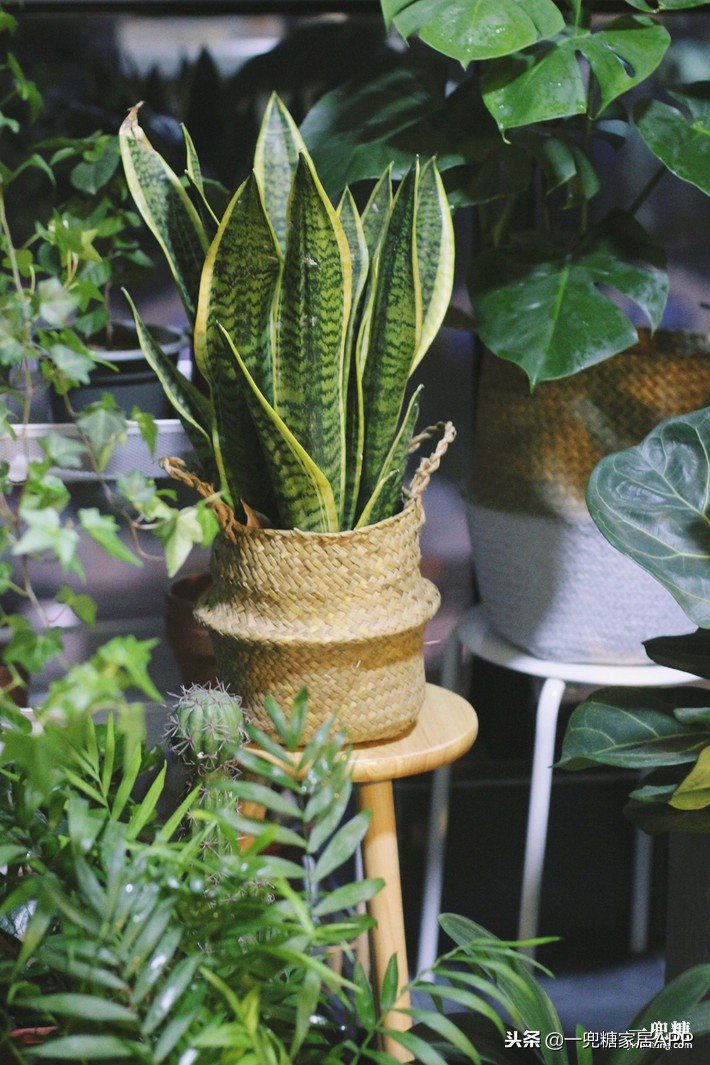 133平复式跃层北欧风设计,北欧复式小户型133平方米