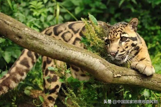 安康小江南在哪里,陕西安康小江南是哪个市