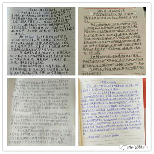 学雷锋青年志愿服务活动安排部署,城关镇开展学雷锋志愿活动