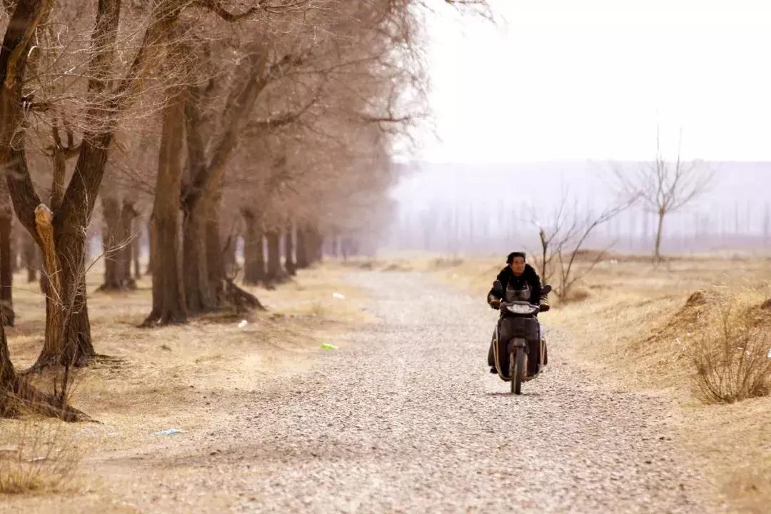 他跟5个西北爷们同吃同睡2年，记录黄河边的绝唱，口碑爆棚