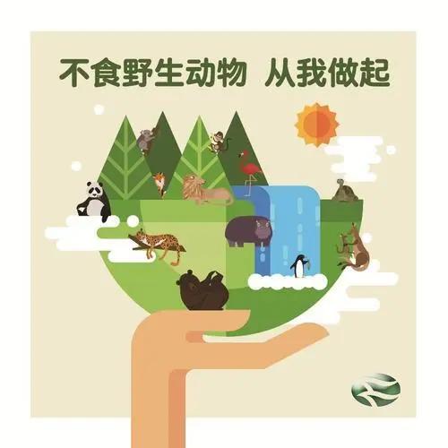 哪些野生动物不能吃？野生动物名录了解一下