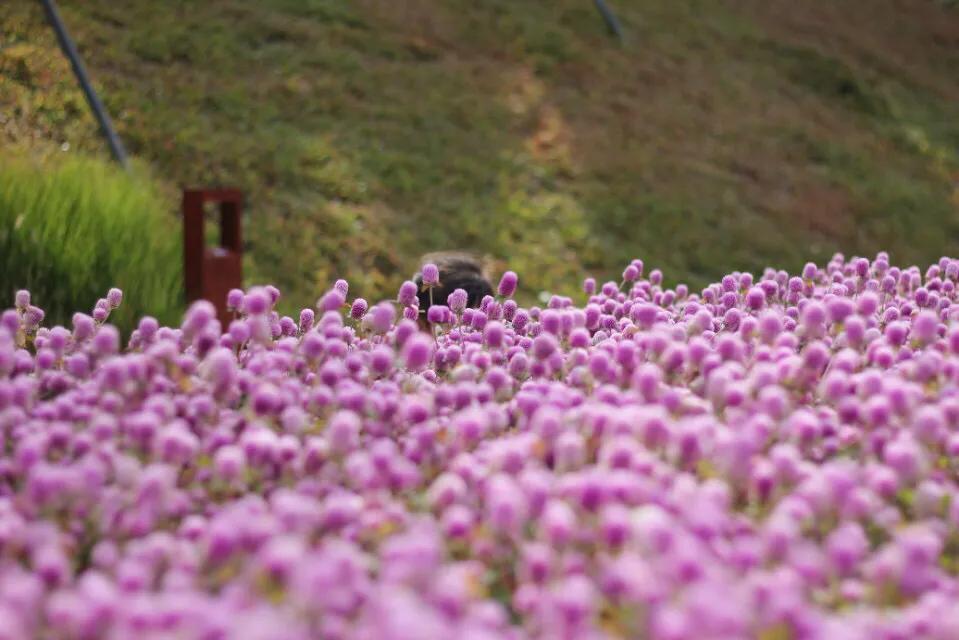 深圳适合小朋友好玩的地方推荐,深圳十个值得带孩子玩的地方
