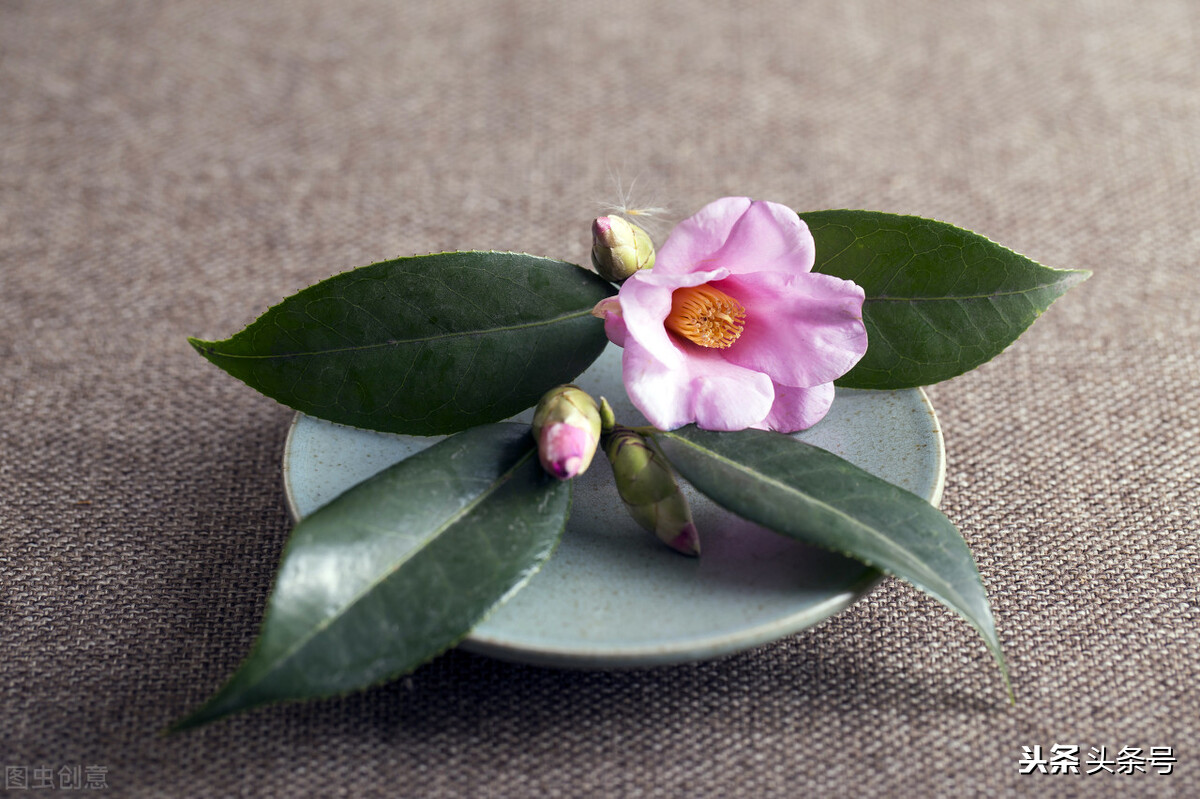 怎么让自己变得开心起来,焦虑症怎样让自己变得开心