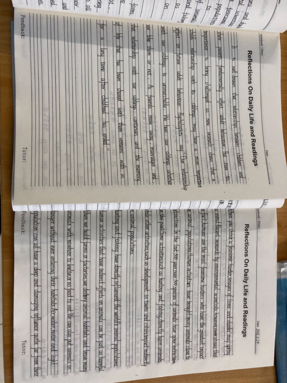 No.191 ,02-25首场春雨劲头齐体育课赏TED