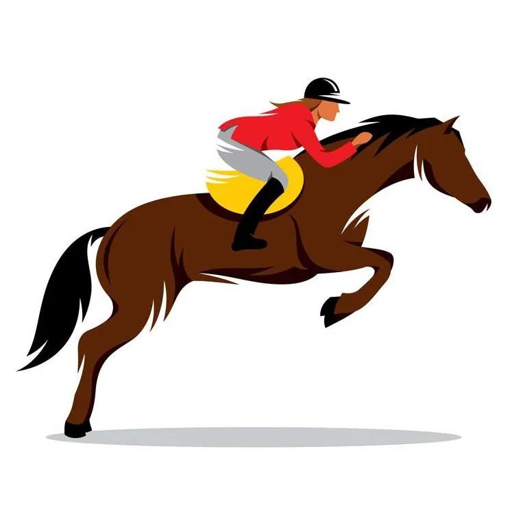 十四运马术室内场馆面积,十四运马术场馆