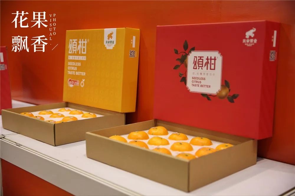 推车卖水果怎么卖好挣钱,上半年卖什么水果赚钱