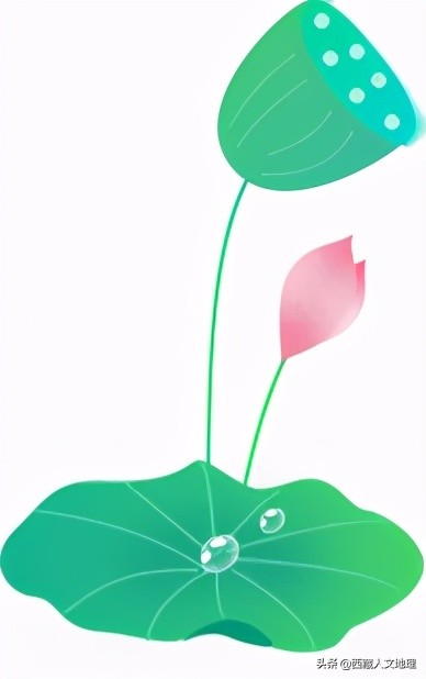 拉萨昼晴夜雨的天气,今天拉萨有没有雨景