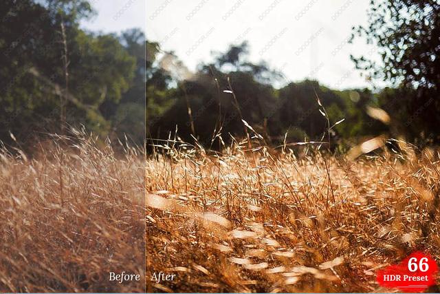 lightroom风格预设官方,lightroom日系预设