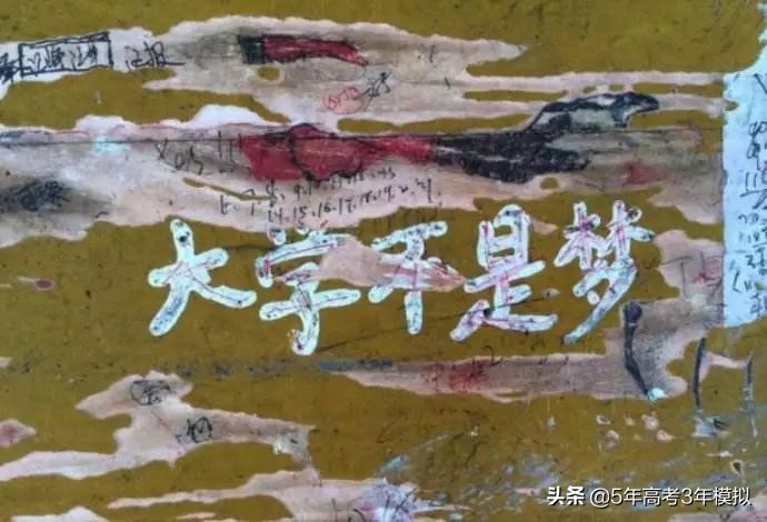 毛坦厂中学一年的经历,毛坦厂学子从不认输