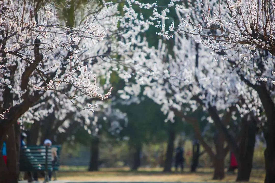 四月发生的事,东城发生的事