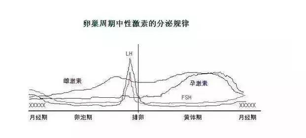 关于性激素六项，这样解读就简单多了！