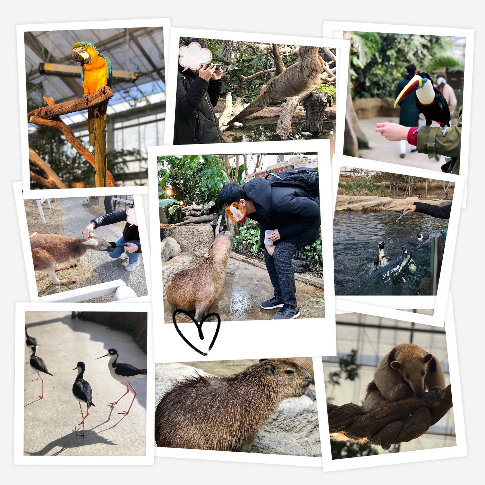 日本名古屋自由行攻略,日本高山自由行攻略