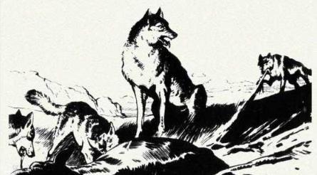 民间故事结发夫妻不可弃,民间故事夫妻感情故事