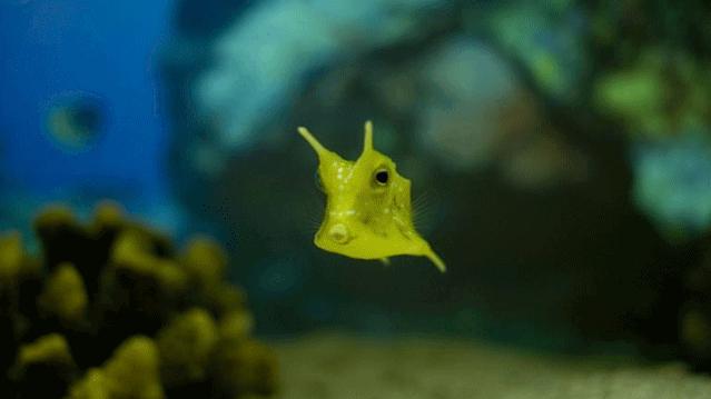 热门景点年卡,旅游年卡又一打卡景点