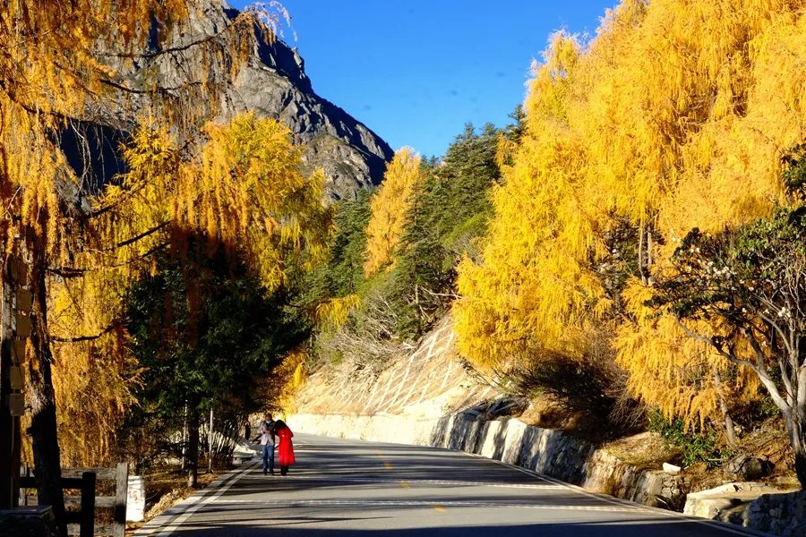 四川木格措旅游自驾游攻略2天,成都自驾到木格措旅游攻略