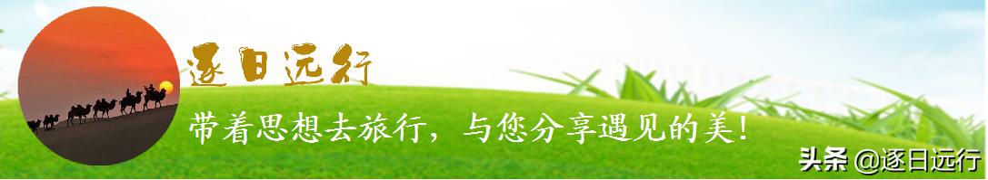 四川自贡市荣县金花,荣县金花乡桫椤谷