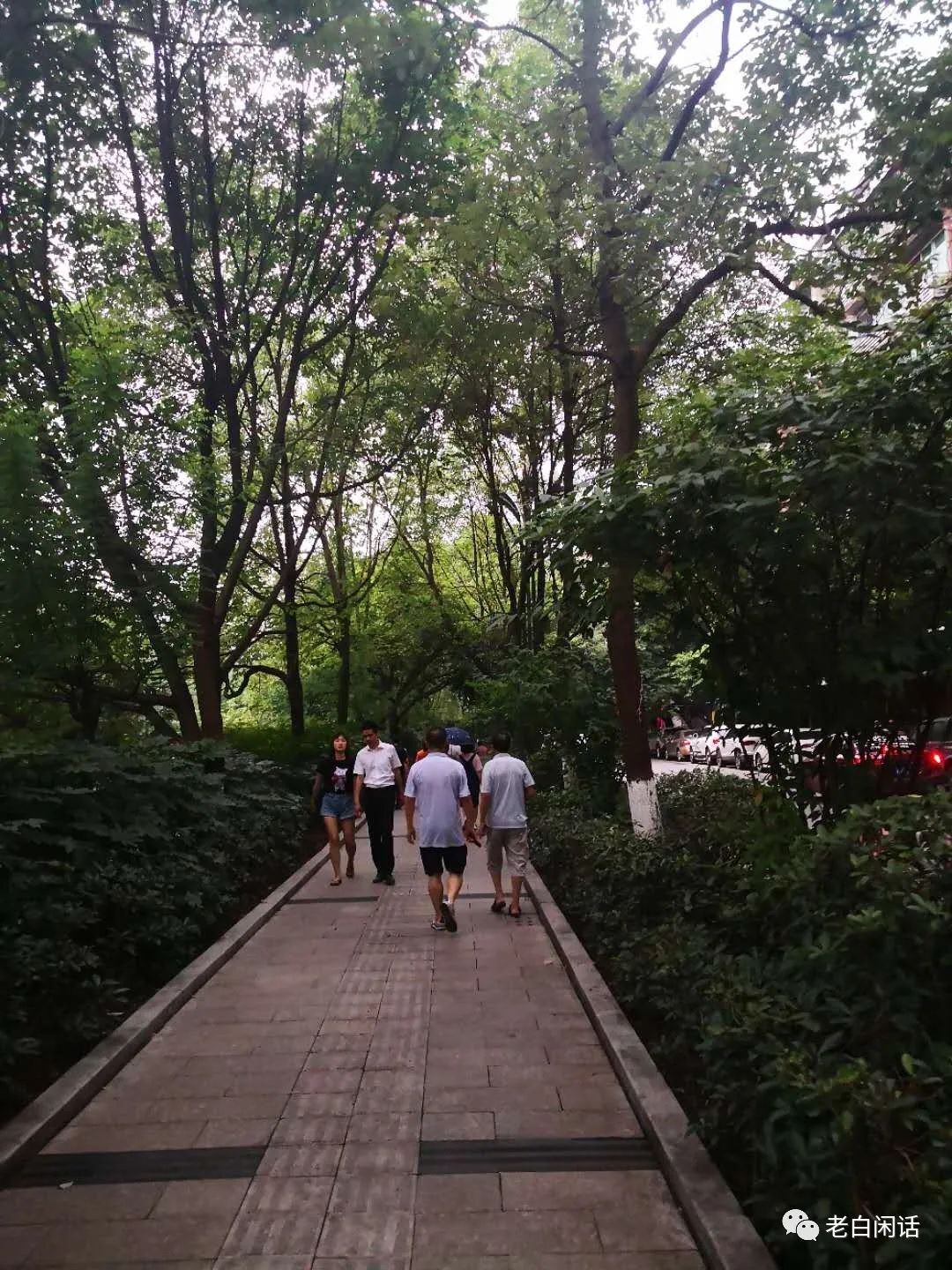 小城故事,平和下的珙县日常可能终我一生也难企及