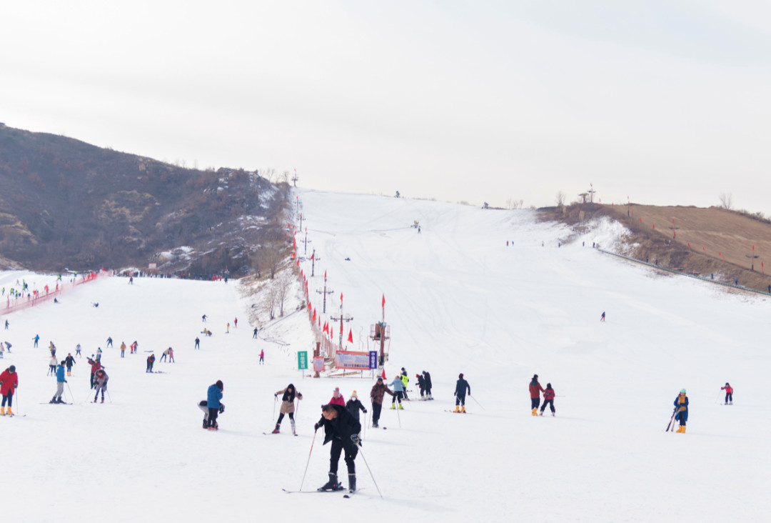 鎭掑ぇ鍏泭娲诲姩,鎭掑ぇ閰掑簵鍖绘姢棰勭害