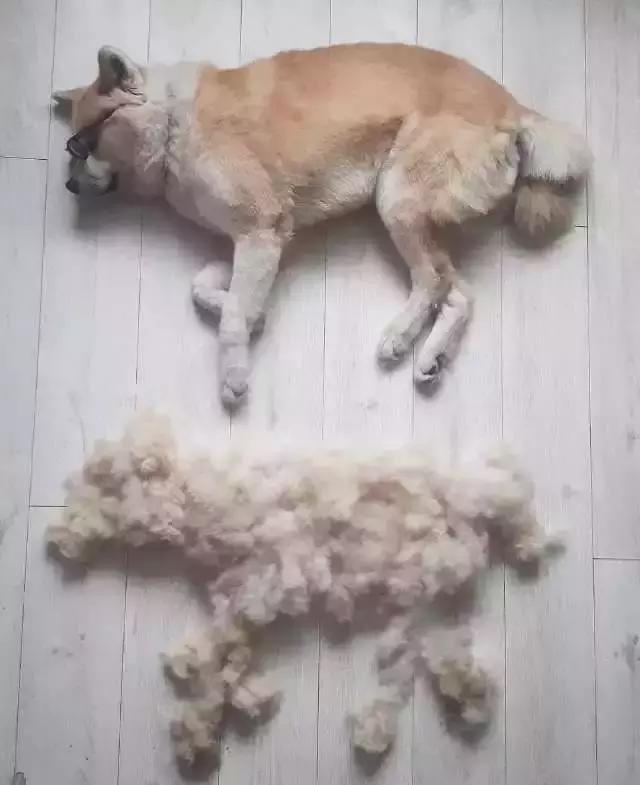 变废为宝绵羊毛衣,变废为宝旧毛衣