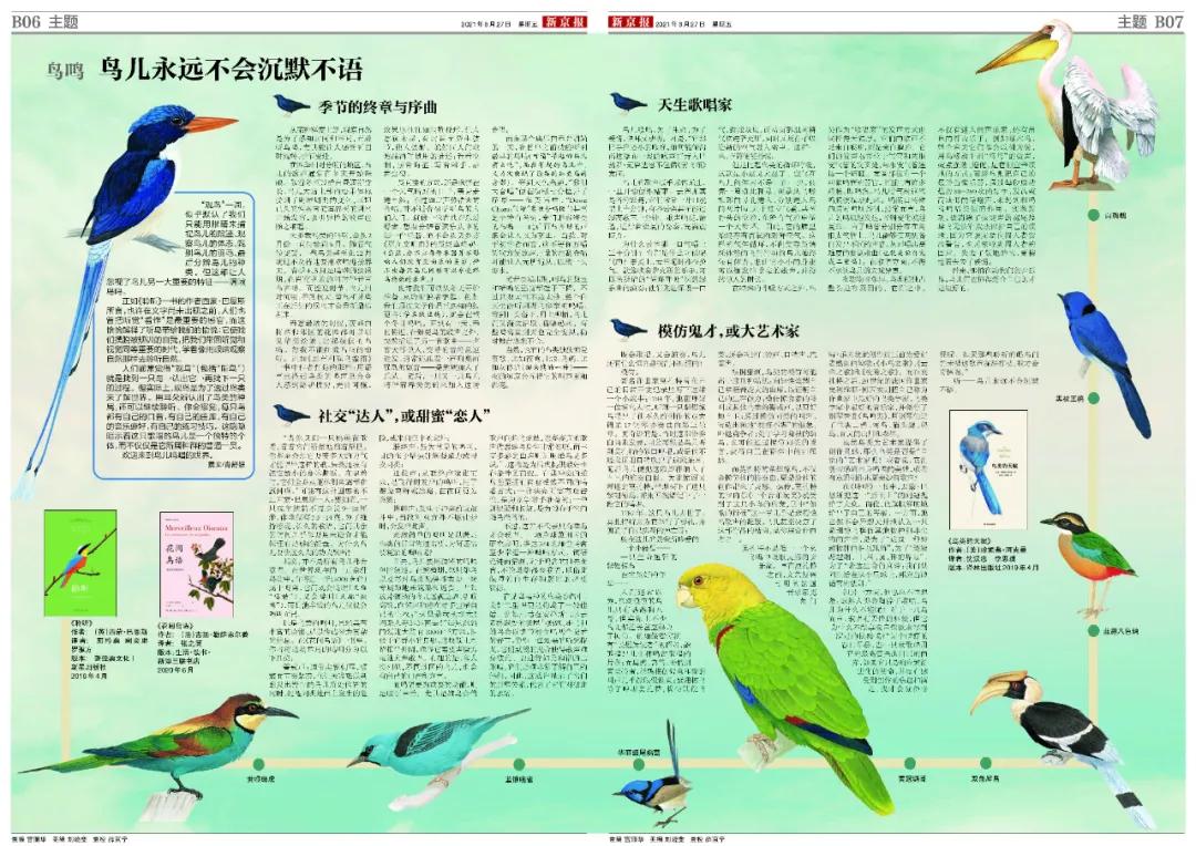 爱鸟的正确护鸟方法,爱鸟护鸟的小方法