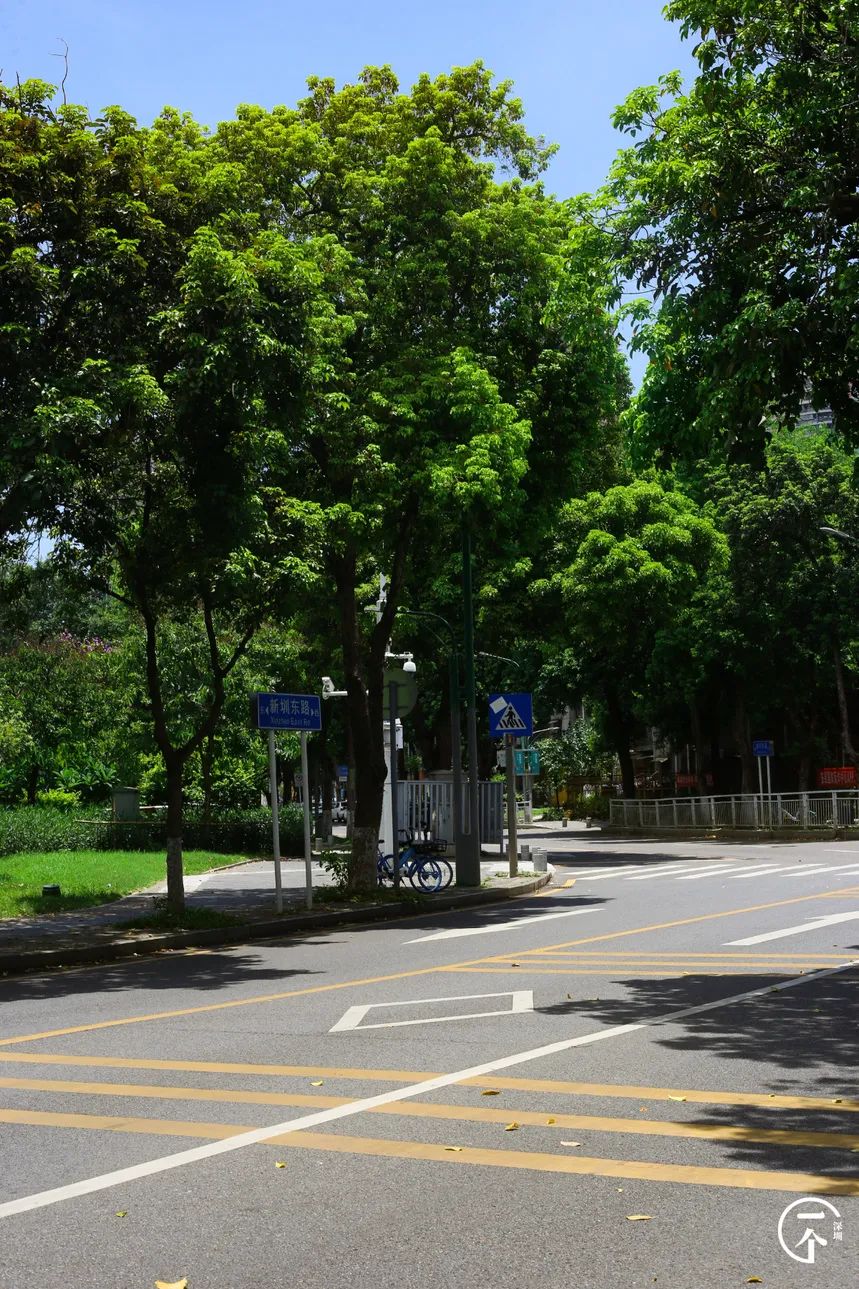 千万别去新安，因为会让你发胖