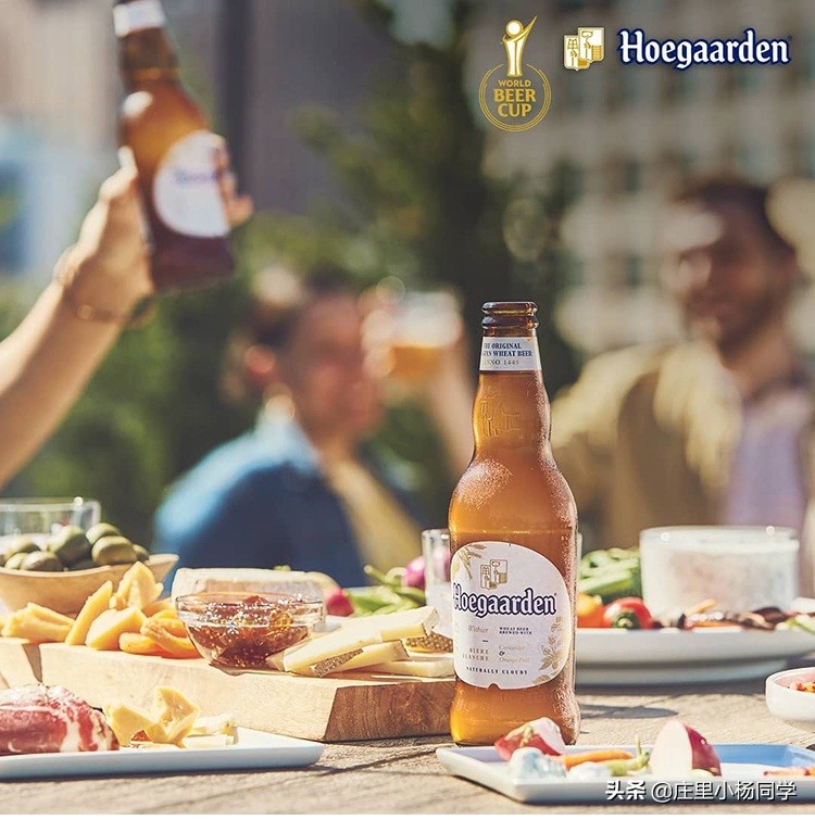 真正的进口啤酒品牌,进口啤酒了解一下