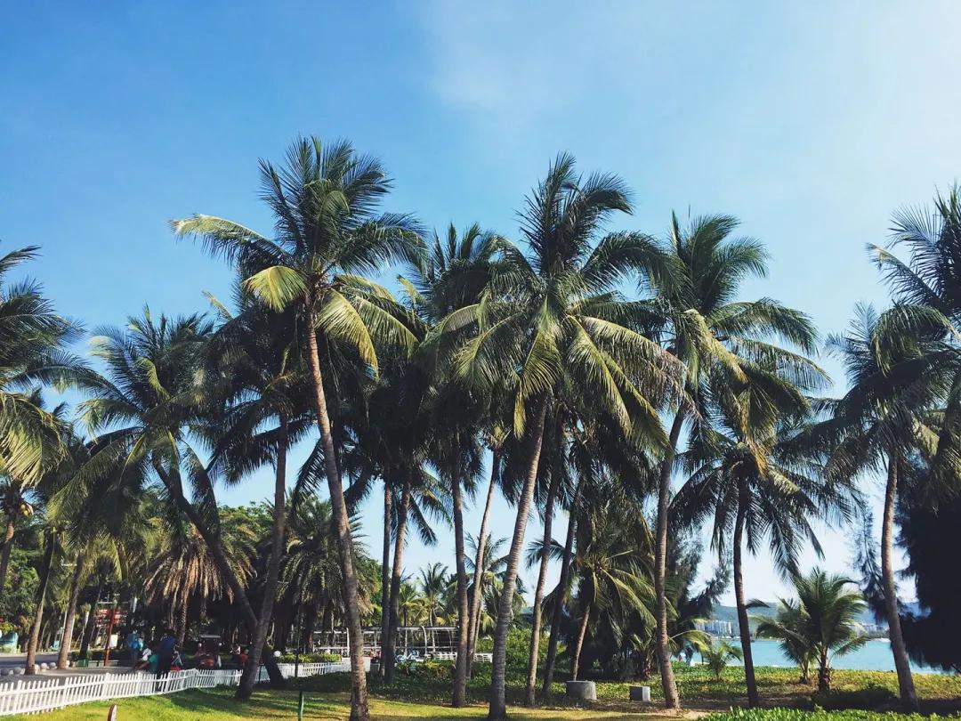 一张图看懂三亚,带你看小三亚风景