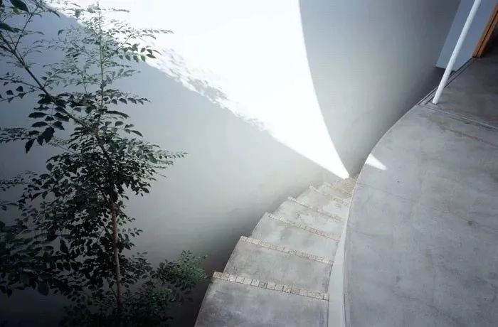 耗资80万建造豪宅出租给退休夫妇,她用14年建400平米花园