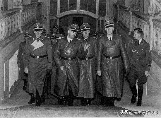 德意志黑王子,纳粹德国黑王子