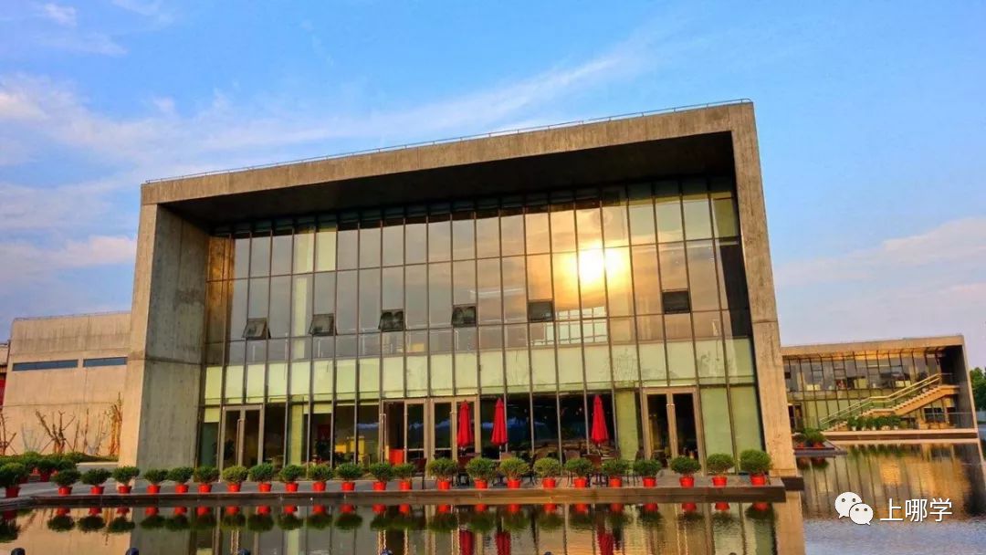 上海市松江区的小学名单和位置,松江全区小学排名