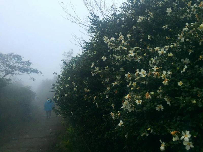 适合宽脚徒步登山鞋,又能徒步又能通勤的徒步鞋