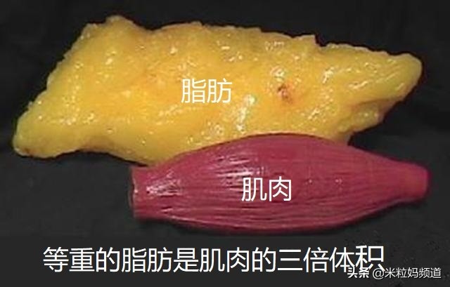 为什么不建议计算卡路里减肥,哭减肥真的有效吗