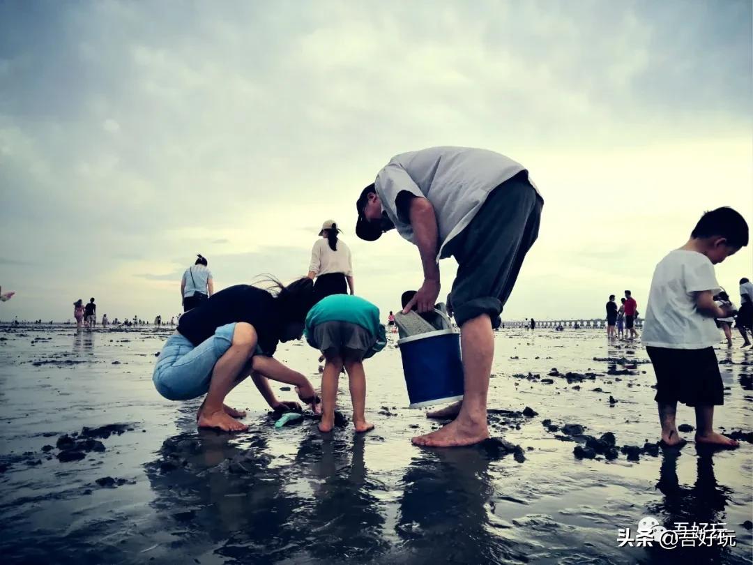 遛娃|南汇新城海滩，魔都夏日必打卡？