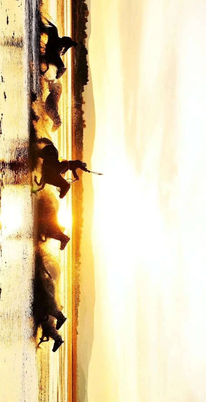 青白江不修地铁是真的吗,青白江不通地铁是地理原因吗