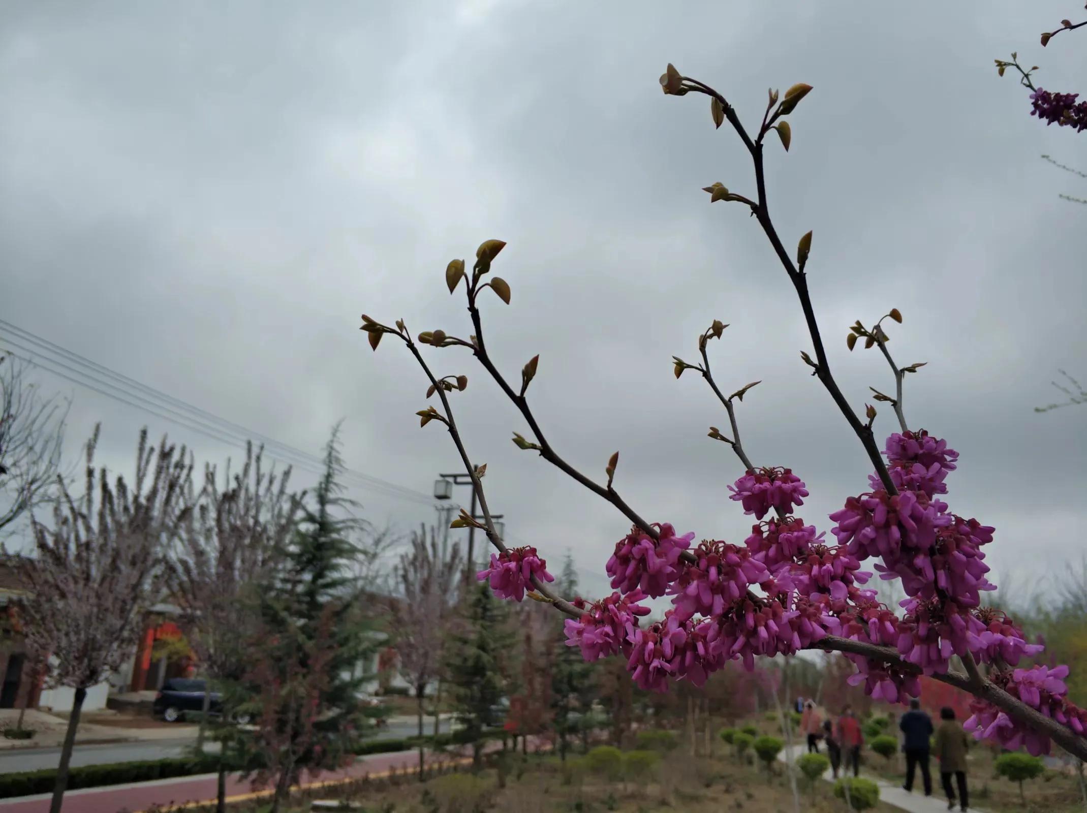 春分是春天最美的季节,在春分这个美好节气里