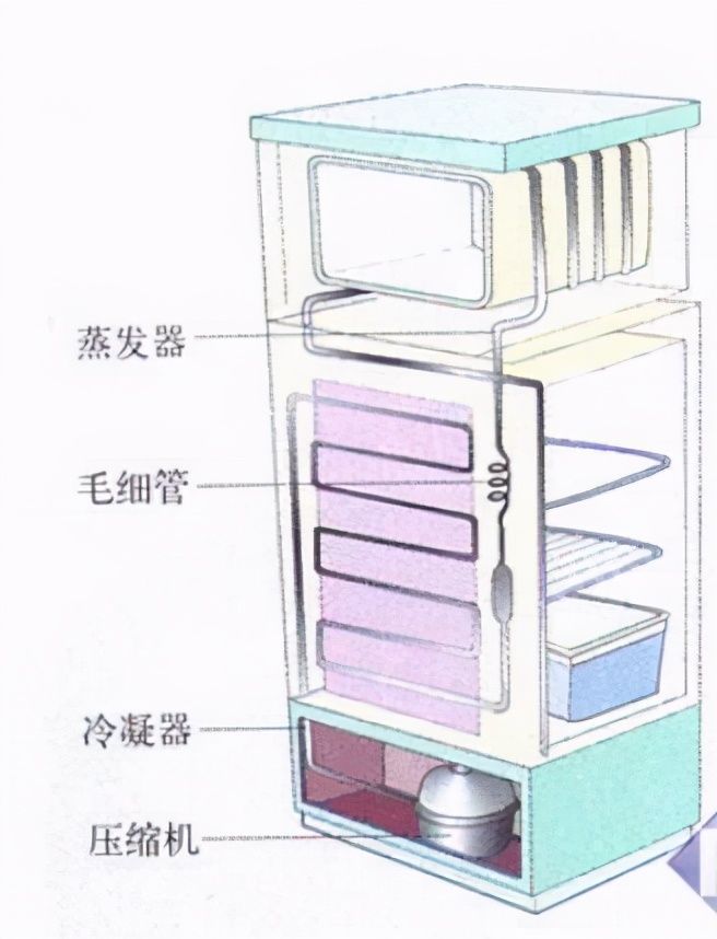 冰箱双循环是不是智商税,冰箱全空间保鲜是交智商税