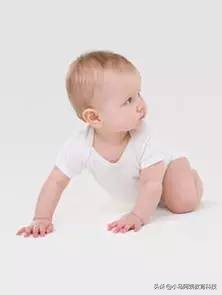 爬行三要素,爬行的3个步骤